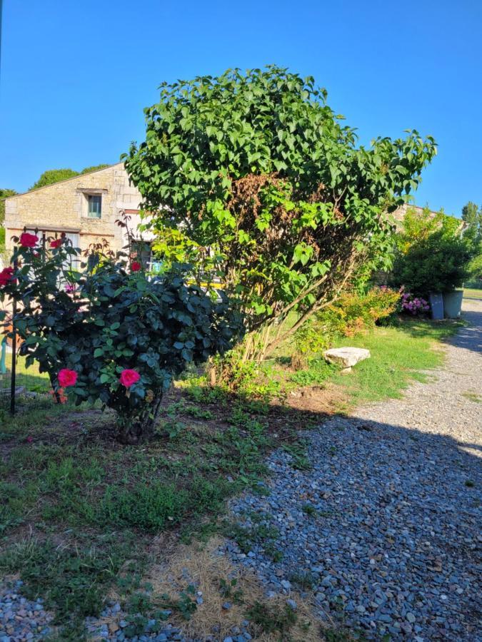 Recemment Renove Apartamento Saint-Léger